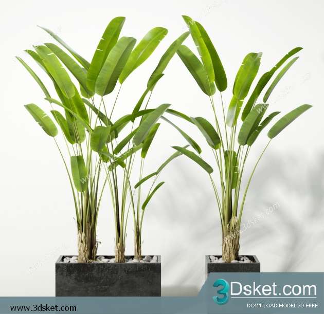 3D Model Plant Free Download 0269
