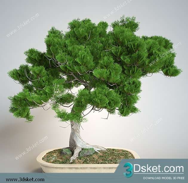 3D Model Plant Free Download 0270