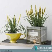 3D Model Plant Free Download 0271