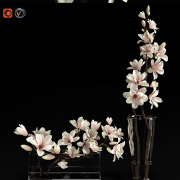 3D Model Plant Free Download 0272