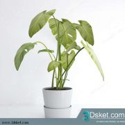 3D Model Plant Free Download 0277