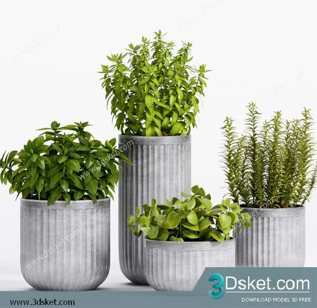 3D Model Plant Free Download 0280