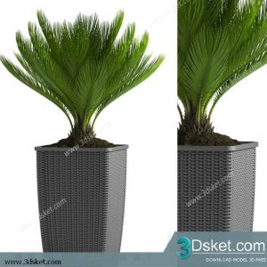 3D Model Plant Free Download 0282