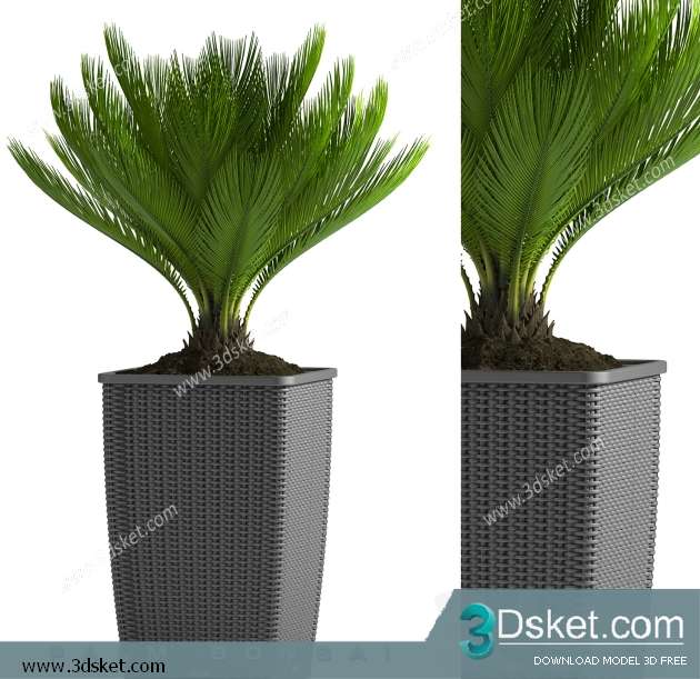 3D Model Plant Free Download 0282