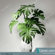 3D Model Plant Free Download 0283