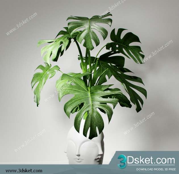 3D Model Plant Free Download 0283