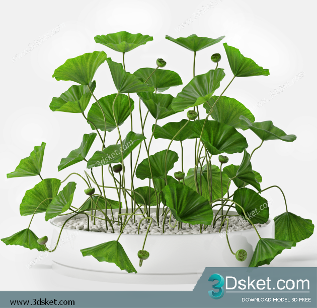 3D Model Plant Free Download 0290