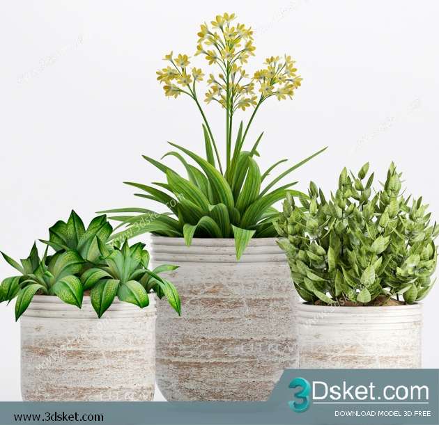 3D Model Plant Free Download 0291