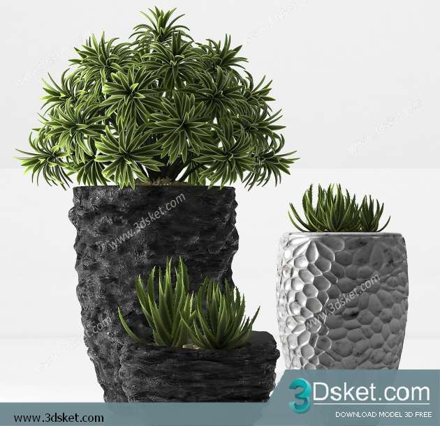 3D Model Plant Free Download 0292