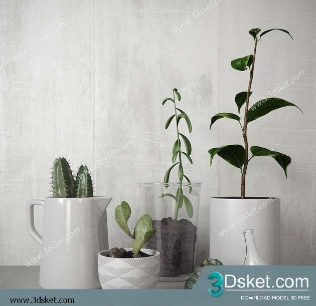 3D Model Plant Free Download 0293