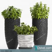 3D Model Plant Free Download 0296