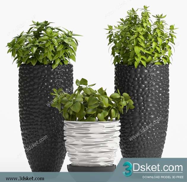 3D Model Plant Free Download 0296