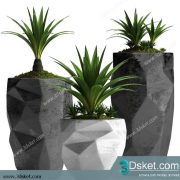 3D Model Plant Free Download 0300