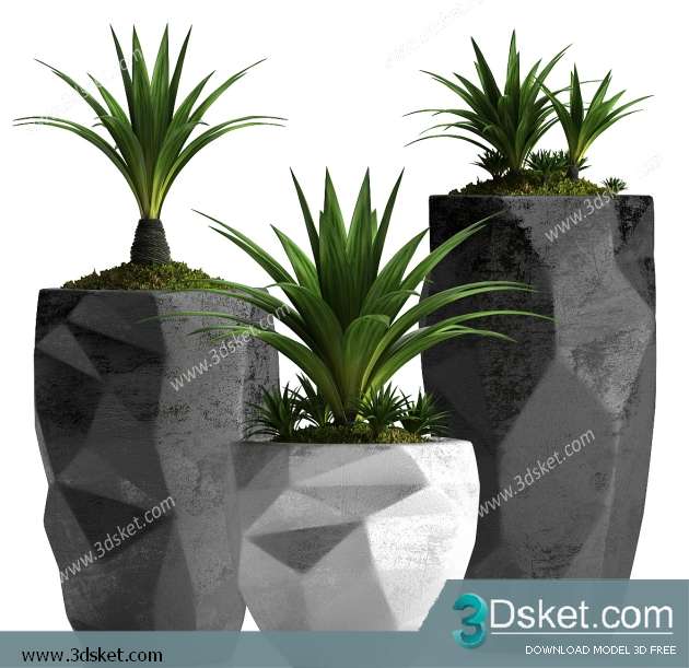 3D Model Plant Free Download 0300