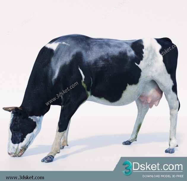 3D Model Creature Free Download 003