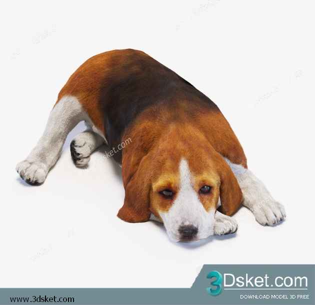 3D Model Creature Free Download 001