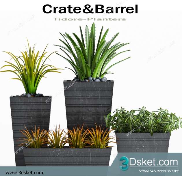 3D Model Plant Free Download 0311