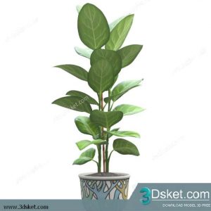 3D Model Plant Free Download 0316
