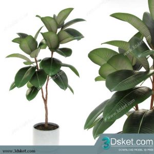 3D Model Plant Free Download 0320