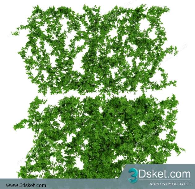 3D Model Plant Free Download 0325