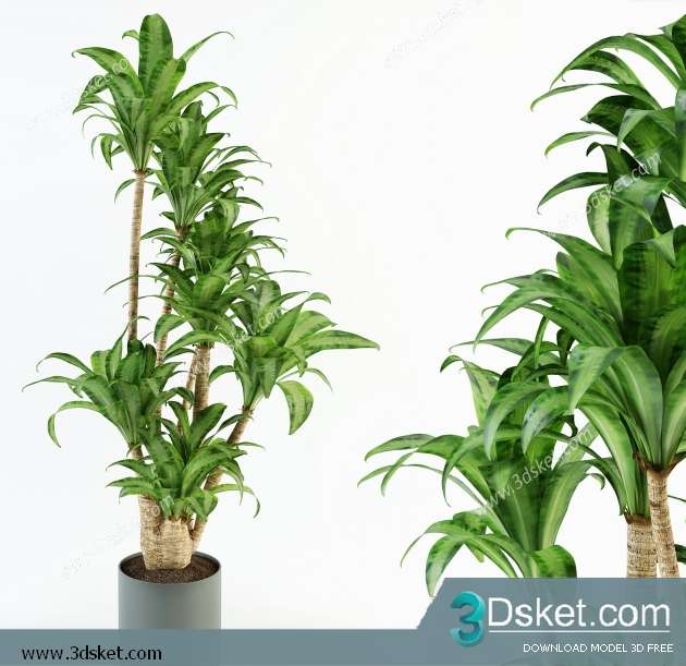 3D Model Plant Free Download 0330