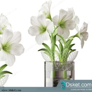 3D Model Plant Free Download 0333