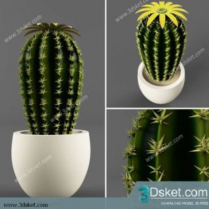 3D Model Plant Free Download 0335