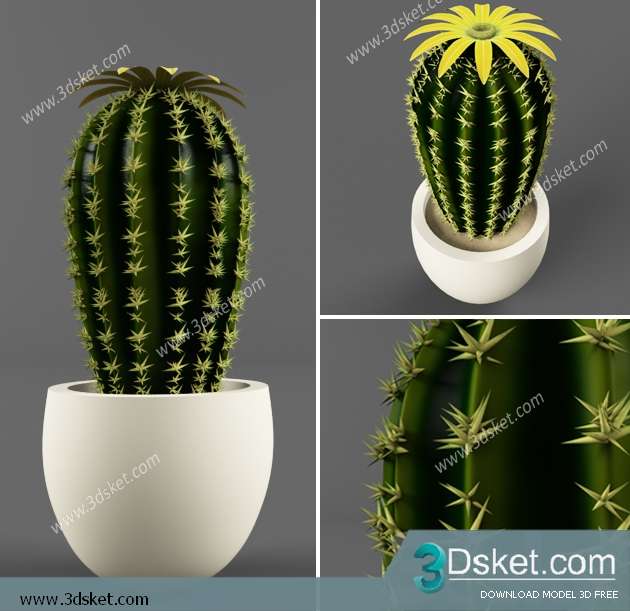 3D Model Plant Free Download 0335