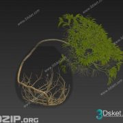 3D Model Outdoor Plants Free Download 046