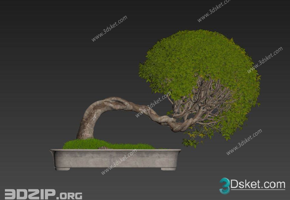 3D Model Outdoor Plants Free Download 047