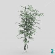 3D Model Tree Free Download T047