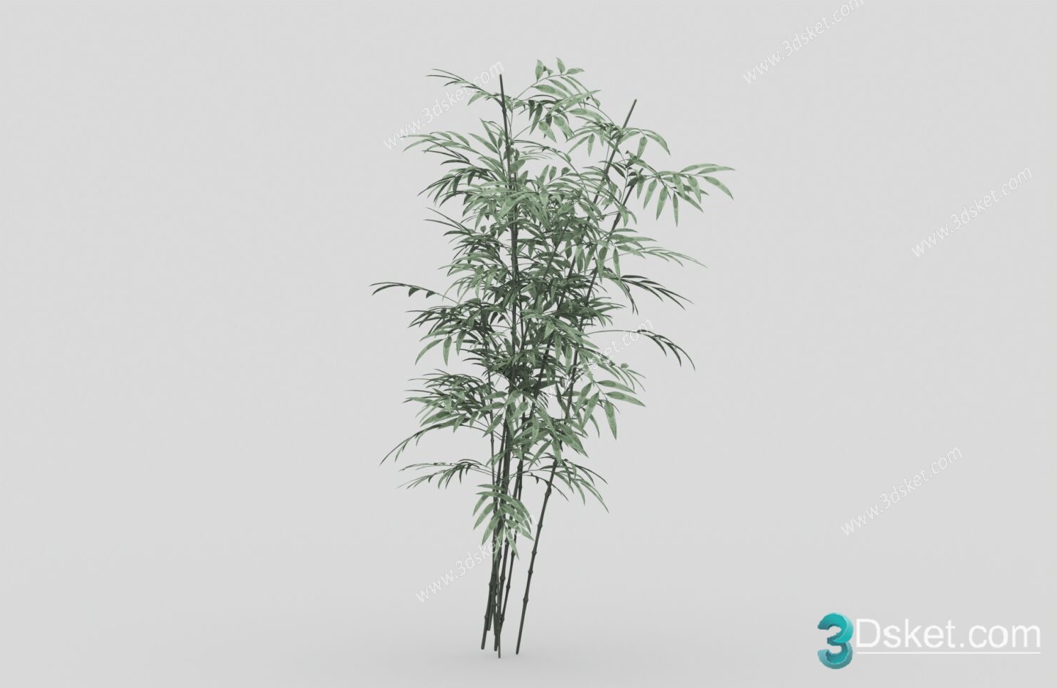 3D Model Tree Free Download T047