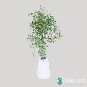 3D Model Tree Free Download T048