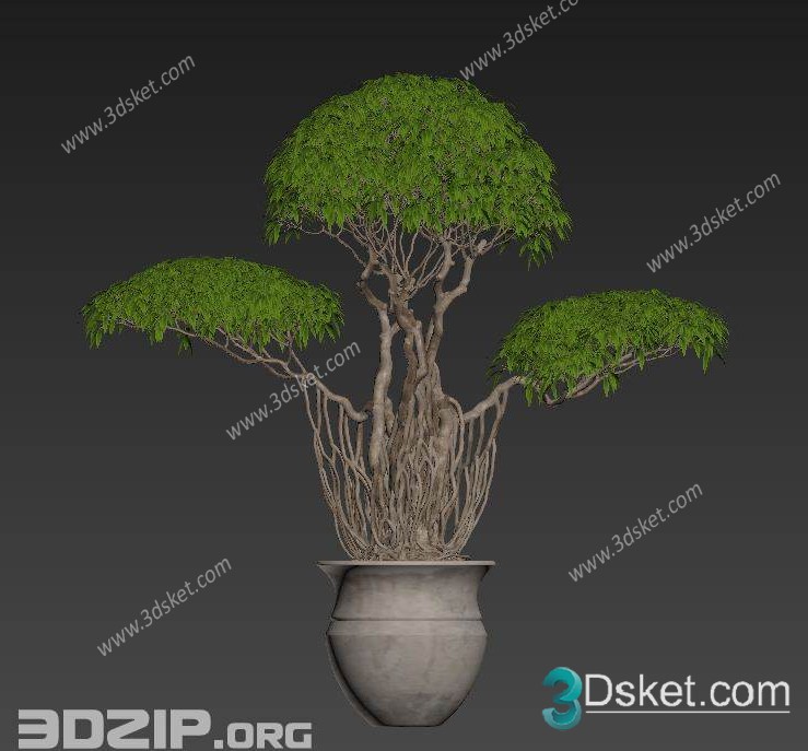 3D Model Outdoor Plants Free Download 048