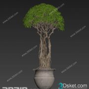 3D Model Outdoor Plants Free Download 049