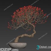 3D Model Outdoor Plants Free Download 050