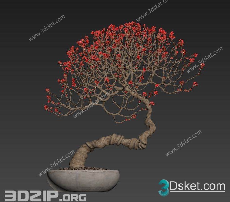 3D Model Outdoor Plants Free Download 050