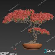 3D Model Outdoor Plants Free Download 052