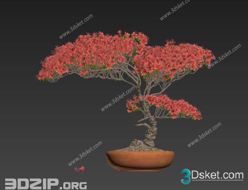 3D Model Outdoor Plants Free Download 052