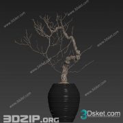 3D Model Outdoor Plants Free Download 053
