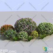 3D Model Outdoor Plants Free Download 054