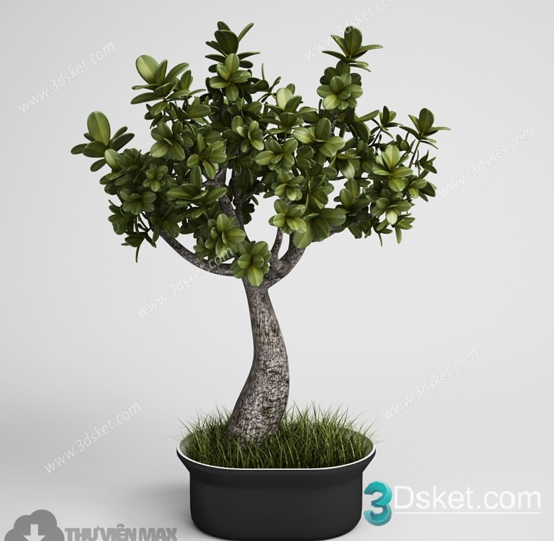 3D Model Outdoor Plants Free Download 057