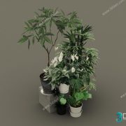 3D Model Tree Free Download T036