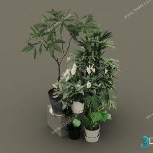3D Model Tree Free Download T036