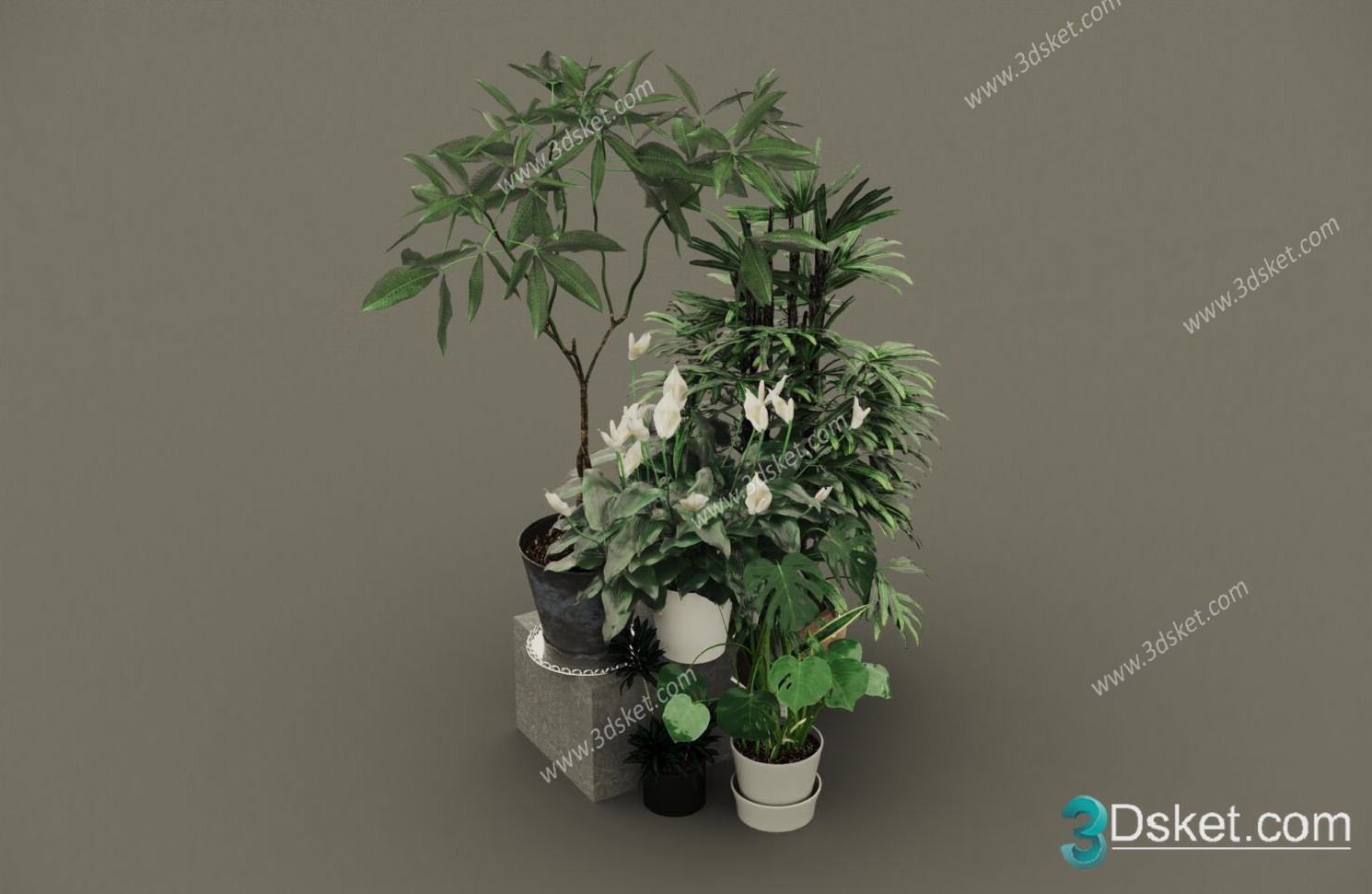 3D Model Tree Free Download T036