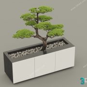 3D Model Tree Free Download T037