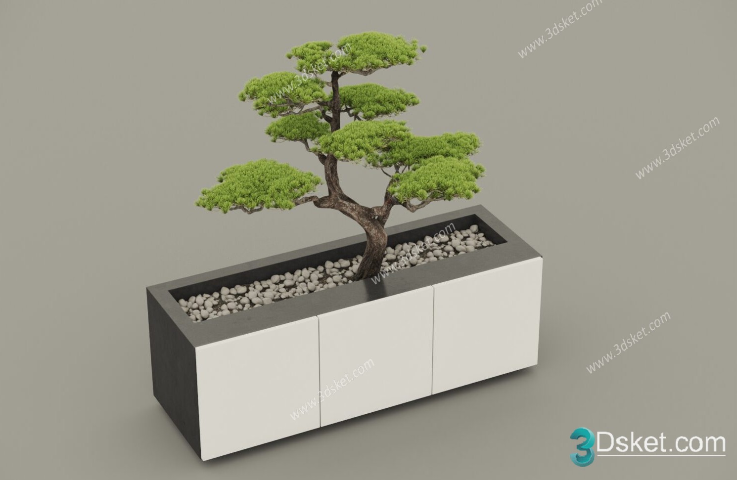 3D Model Tree Free Download T037