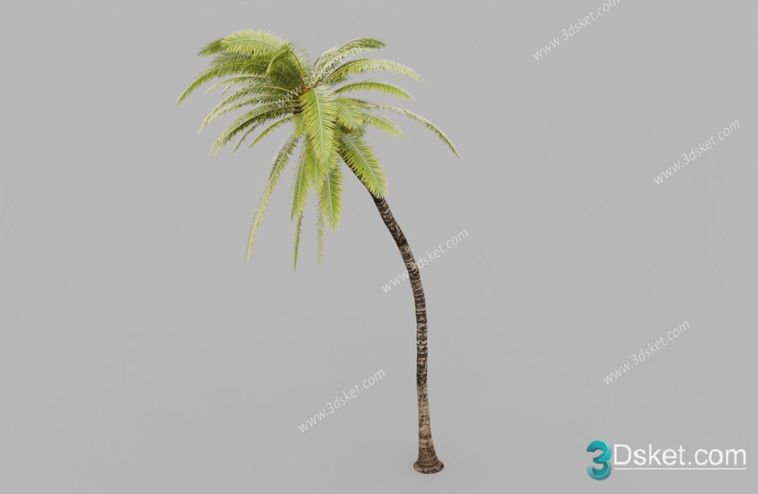 3D Model Tree Free Download T038