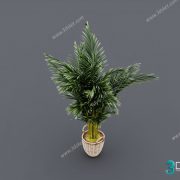 3D Model Tree Free Download T040