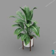 3D Model Tree Free Download T043